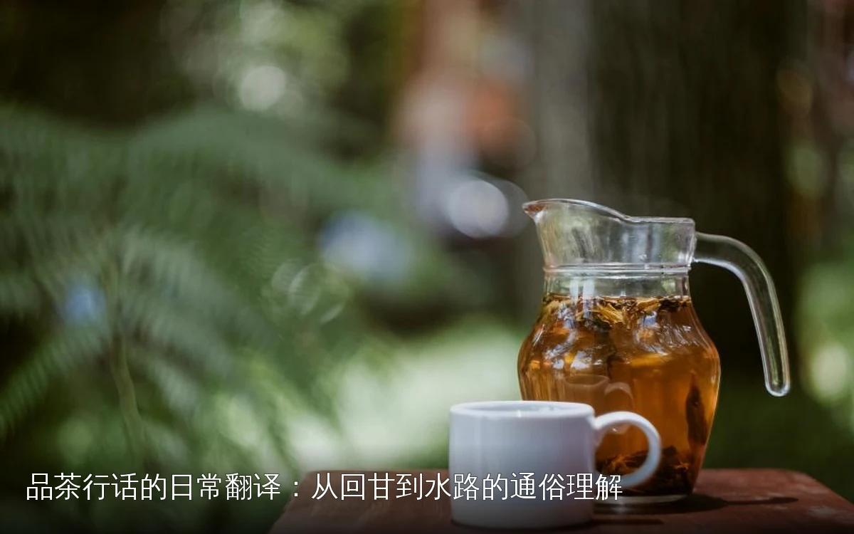 品茶行话的日常翻译:从回甘到水路的通俗理解